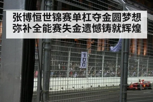 张博恒世锦赛单杠夺金圆梦想 弥补全能赛失金遗憾铸就辉煌